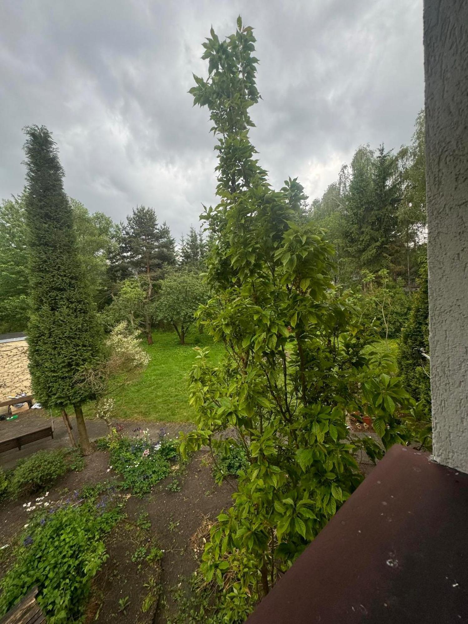Zielony Zakatek Piechowice  Quarto foto